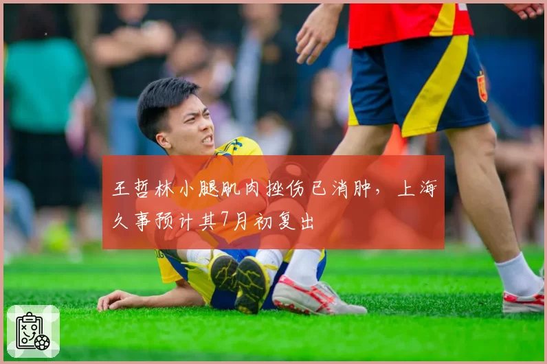 王哲林小腿肌肉挫伤已消肿,上海久事预计其7月初复出