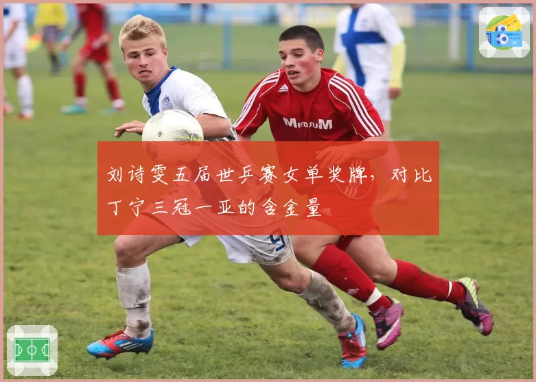 刘诗雯五届世乒赛女单奖牌，对比丁宁三冠一亚的含金量