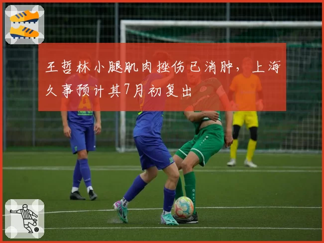王哲林小腿肌肉挫伤已消肿,上海久事预计其7月初复出
