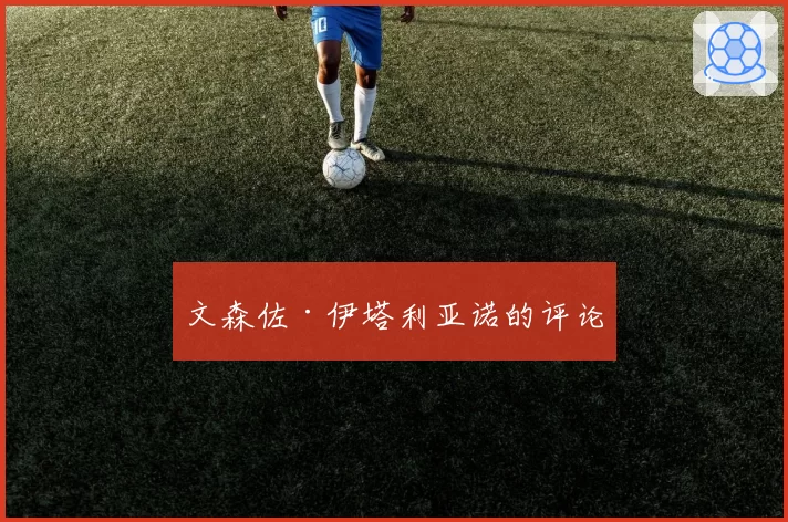 文森佐·伊塔利亚诺的评论