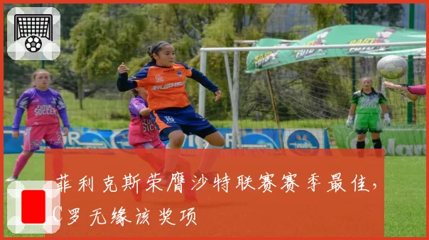 菲利克斯荣膺沙特联赛赛季最佳，C罗无缘该奖项